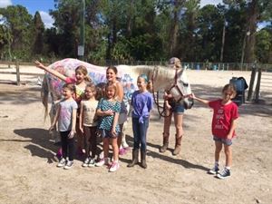 Rockin n Stables llc - Tallahassee