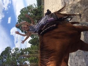 Rockin n Stables llc - Tallahassee