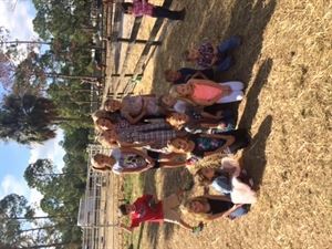 Rockin n Stables llc - Tallahassee