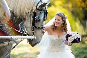 Ruth Stenson Photography- Wedding Photography - Belleville