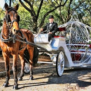 Jason's Travel & Honeymoons