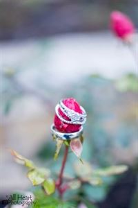 All Heart Photography