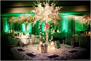 Celebrating With Elegance