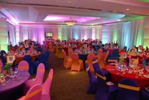 Celebrating With Elegance