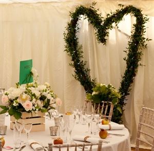 Divine Elegant Elements