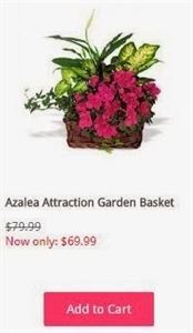 Davis Wilson Florist