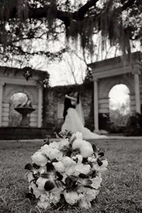 Bellasina Weddings & Events