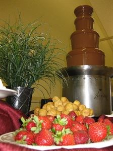 Chocolate Fountains of San Diego