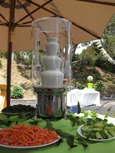 Chocolate Fountains of San Diego
