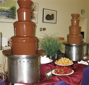 Chocolate Fountains of San Diego