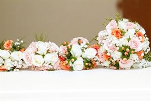 1737Photography  Willie Gordon