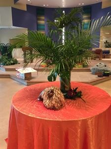 Fancy That Specialty Linens