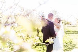 Matt Morgan Photography