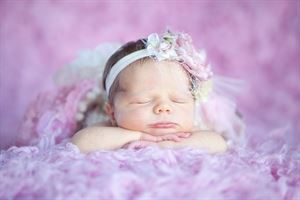 Jules Photography and Gallery