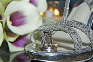 Celebrations of Tampa Bay