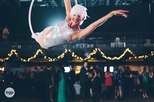 Violet Crown Collective