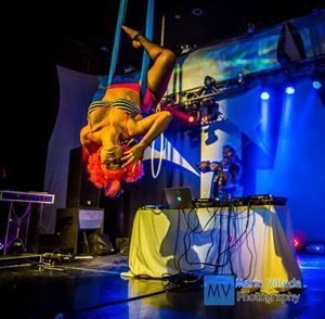 Violet Crown Collective