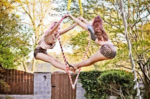 Violet Crown Collective