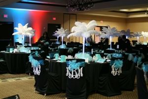 ShatataEvents Ostrich Feathers Rental