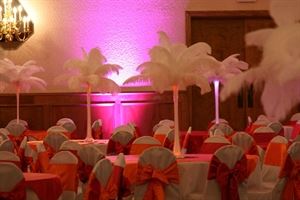 ShatataEvents Ostrich Feathers Rental