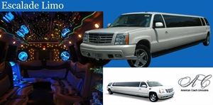 American Coach Limousine