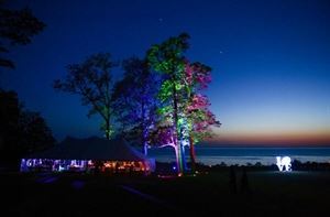 Lights Out Entertainment Professional DJ Services