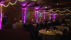 Lights Out Entertainment Professional DJ Services