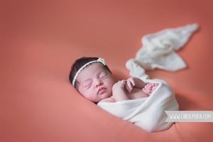 Carol Porta Photography