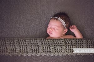 Carol Porta Photography