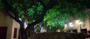 Divine Menus Catering