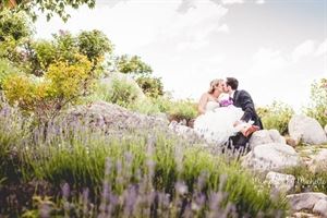 Memories by Michelle Photography