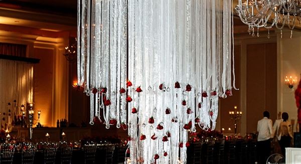 Tori Williams Events