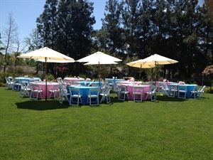 Patty's Linen Rentals