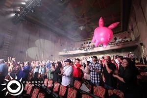 Celesteal Photography