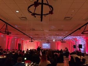 Silver Lining Events + Co.