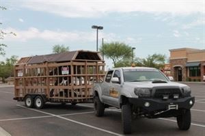 Dino Crew Entertainment