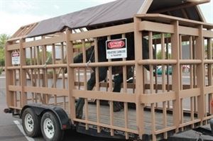 Dino Crew Entertainment