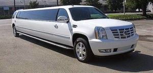 Florida Luxurious Shuttle & Limo, Inc.