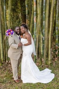 Branches of Life Photography