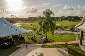 Branches of Life Photography
