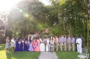 Branches of Life Photography