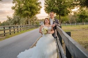 Branches of Life Photography