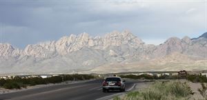 International Protective Service - Las Cruces