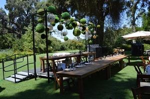 Action Equipment & Event Rentals