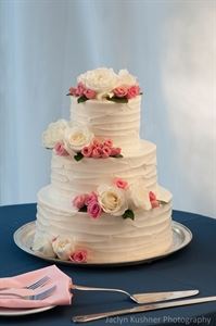 Jaclyn Kushner Photography