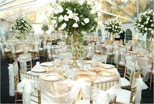 Wellington Hospitality Group