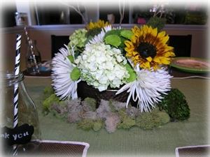 Party Designs by Jax