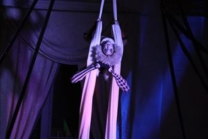 Aerial Muse Collective