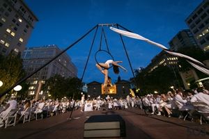 Aerial Muse Collective