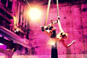 Aerial Muse Collective